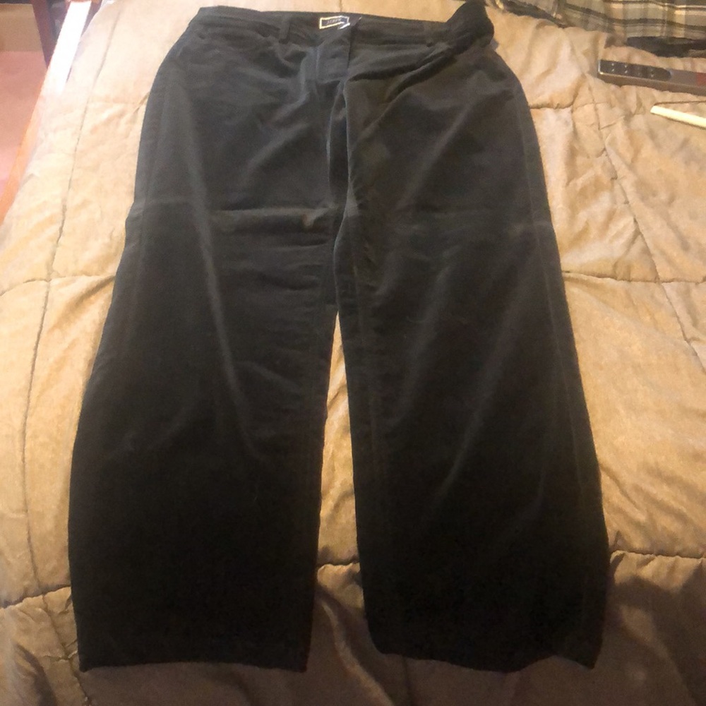 J. Crew NWOT shortened to 29” length black velveteen pants. Size 14 - Picture 2 of 8